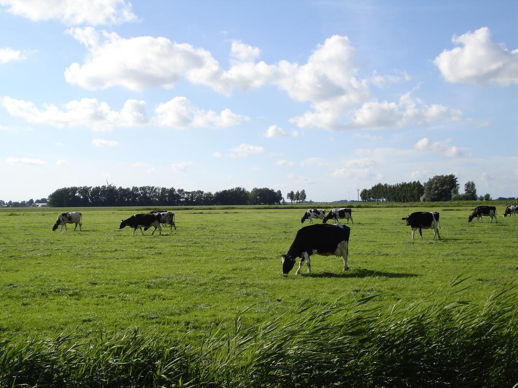 Vakantiehuisje Ursula Workum Ruang foto